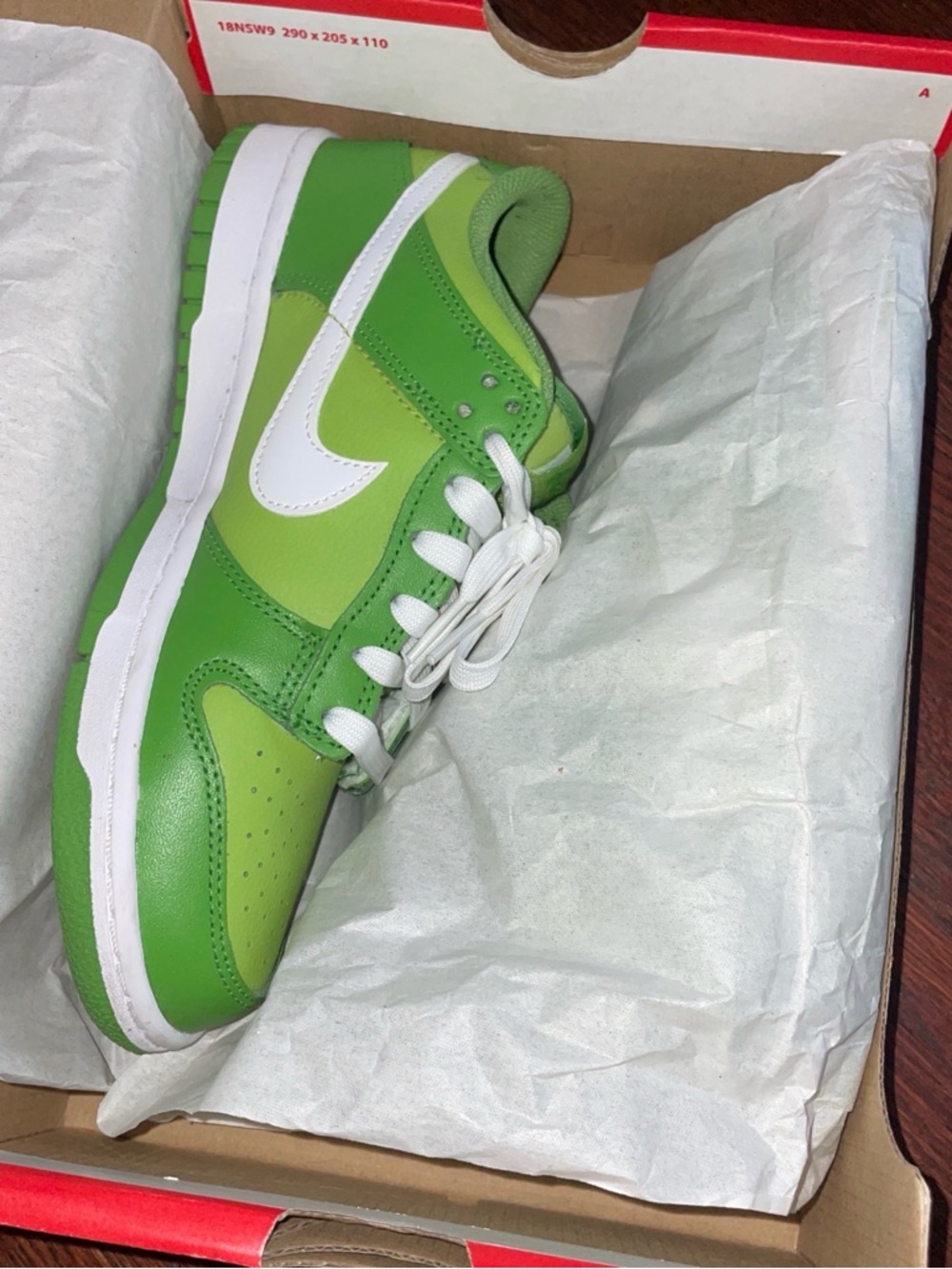 Nike Dunk Low "Chlorophyll” 🐸